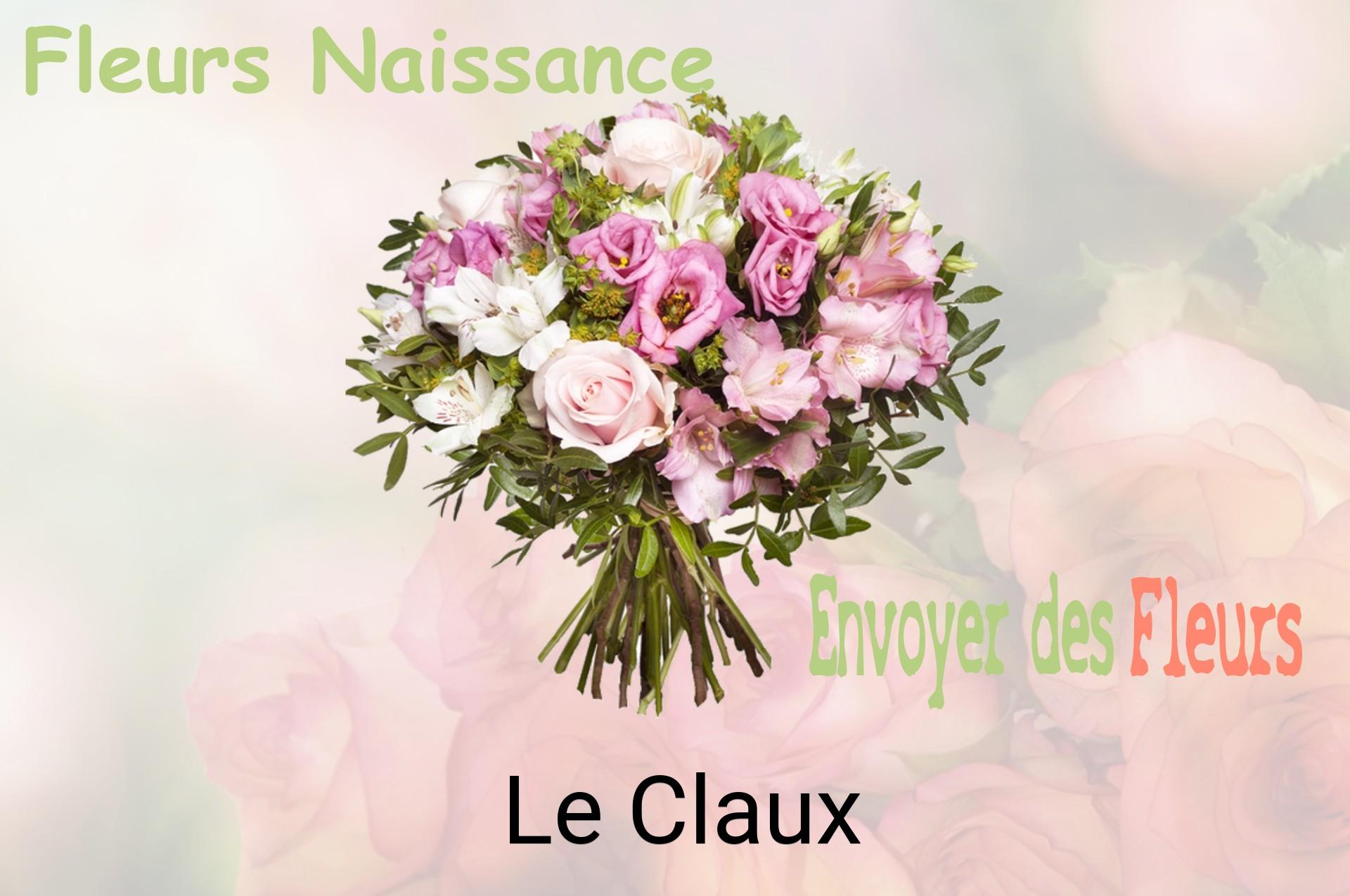 Bouquet de fleurs de naissance livré à Le Claux
